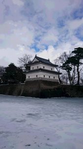 お堀が氷結した、古城・新発田城