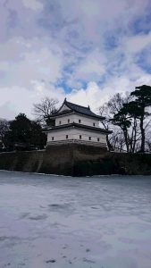 お堀が氷結した、古城・新発田城